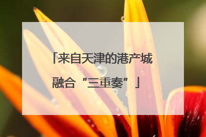 来自天津的港产城融合“三重奏”