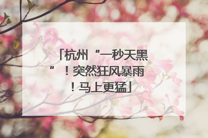 杭州“一秒天黑”！突然狂风暴雨！马上更猛