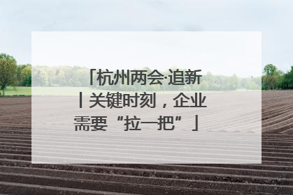 杭州两会·追新丨关键时刻，企业需要“拉一把”