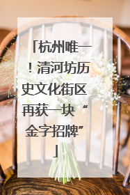 杭州唯一！清河坊历史文化街区再获一块“金字招牌”
