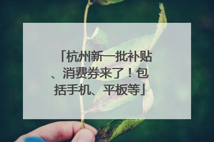 杭州新一批补贴、消费券来了！包括手机、平板等