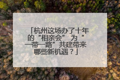 杭州这场办了十年的“相亲会” 为“一带一路”共建带来哪些新机遇？