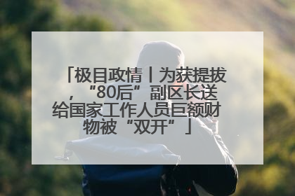 极目政情丨为获提拔，“80后”副区长送给国家工作人员巨额财物被“双开”