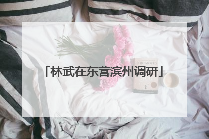 林武在东营滨州调研