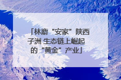 林麝“安家”陕西子洲 生态链上崛起的“黄金”产业
