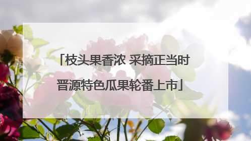 枝头果香浓 采摘正当时 晋源特色瓜果轮番上市
