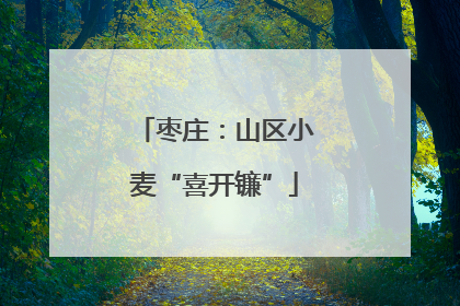 枣庄：山区小麦“喜开镰”