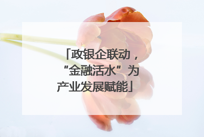 政银企联动，“金融活水”为产业发展赋能