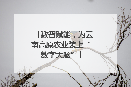 数智赋能，为云南高原农业装上“数字大脑”