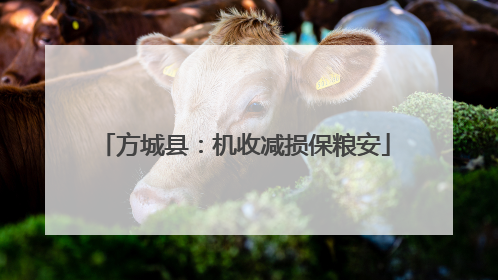 方城县：机收减损保粮安