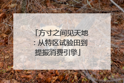方寸之间见天地：从特区试验田到提振消费引擎