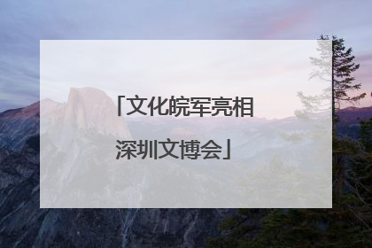 文化皖军亮相深圳文博会