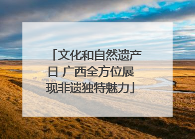 文化和自然遗产日 广西全方位展现非遗独特魅力