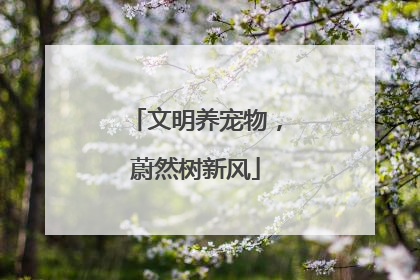 文明养宠物，蔚然树新风