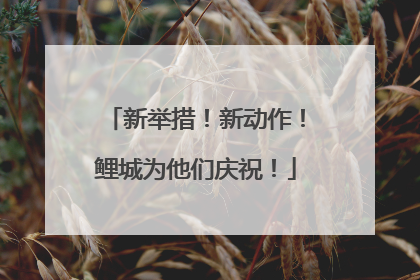 新举措！新动作！鲤城为他们庆祝！