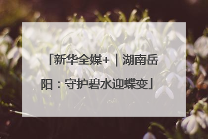 新华全媒+｜湖南岳阳：守护碧水迎蝶变