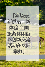 新场景、新供给、新体验 全国旅游休闲街区创新交流活动在岳阳举办