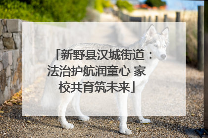 新野县汉城街道：法治护航润童心 家校共育筑未来