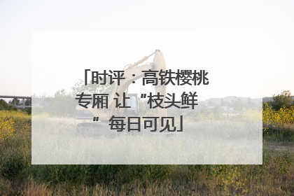 时评：高铁樱桃专厢 让“枝头鲜”每日可见