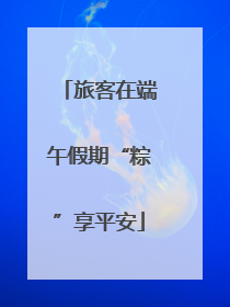 旅客在端午假期“粽”享平安