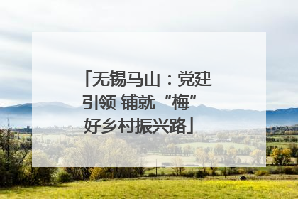 无锡马山：党建引领 铺就“梅”好乡村振兴路