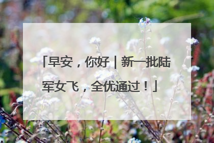 早安，你好｜新一批陆军女飞，全优通过！