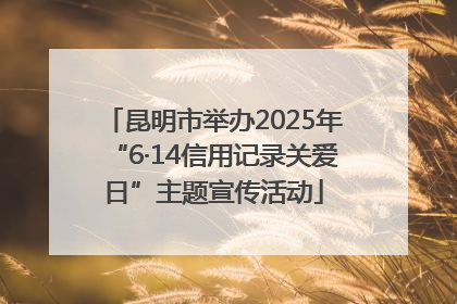 昆明市举办2025年“6·14信用记录关爱日”主题宣传活动