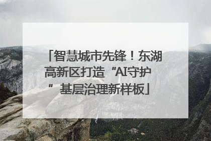 智慧城市先锋！东湖高新区打造“AI守护”基层治理新样板