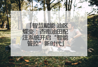 智慧赋能 油区蝶变：杏南油田配注系统开启“智能管控”新时代