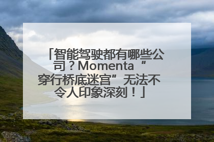 智能驾驶都有哪些公司？Momenta“穿行桥底迷宫”无法不令人印象深刻！
