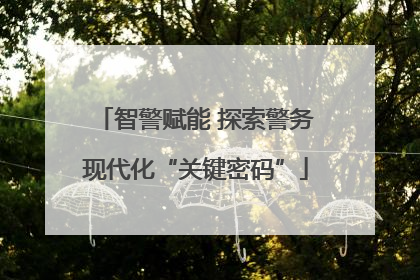 智警赋能 探索警务现代化“关键密码”