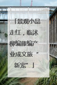 景观小品走红，临沭柳编藤编产业成文旅“新宠”