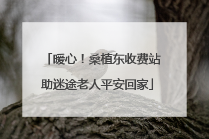 暖心！桑植东收费站助迷途老人平安回家