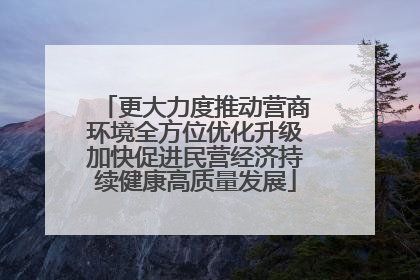 更大力度推动营商环境全方位优化升级加快促进民营经济持续健康高质量发展