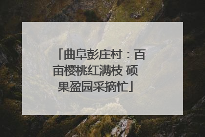 曲阜彭庄村：百亩樱桃红满枝 硕果盈园采摘忙