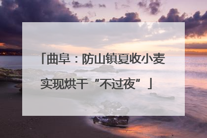 曲阜：防山镇夏收小麦实现烘干“不过夜”