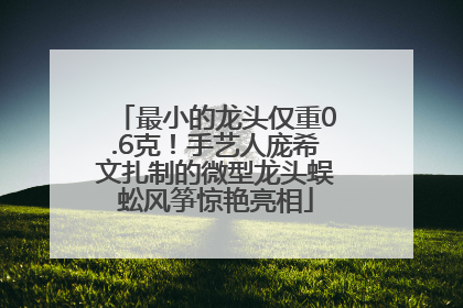 最小的龙头仅重0.6克！手艺人庞希文扎制的微型龙头蜈蚣风筝惊艳亮相