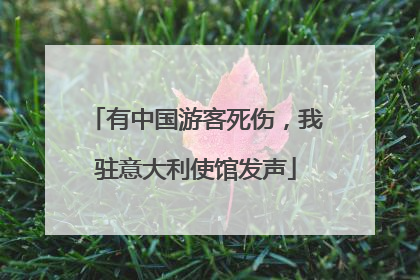 有中国游客死伤，我驻意大利使馆发声