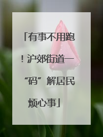 有事不用跑！沪郊街道一“码”解居民烦心事