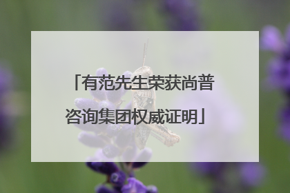 有范先生荣获尚普咨询集团权威证明
