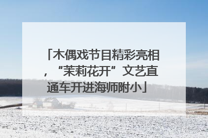 木偶戏节目精彩亮相，“茉莉花开”文艺直通车开进海师附小