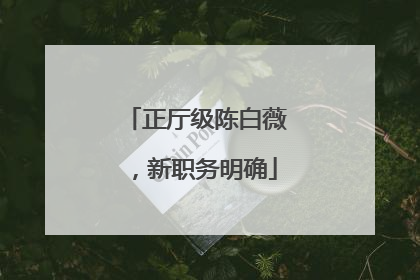 正厅级陈白薇，新职务明确