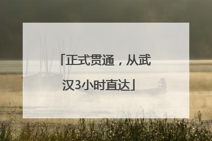 正式贯通，从武汉3小时直达