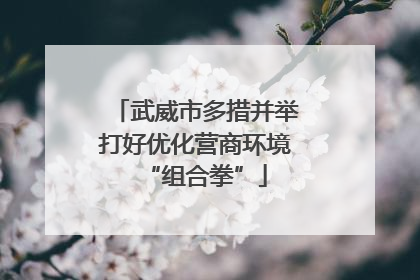 武威市多措并举打好优化营商环境“组合拳”