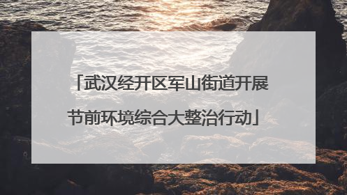 武汉经开区军山街道开展节前环境综合大整治行动