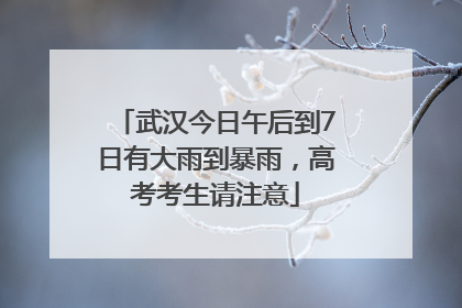 武汉今日午后到7日有大雨到暴雨，高考考生请注意