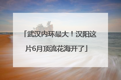 武汉内环最大！汉阳这片6月顶流花海开了