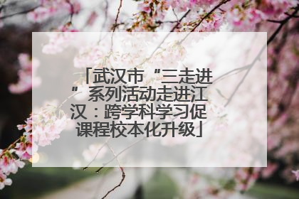 武汉市“三走进”系列活动走进江汉：跨学科学习促课程校本化升级