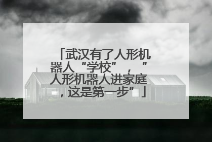 武汉有了人形机器人“学校”，“人形机器人进家庭，这是第一步”