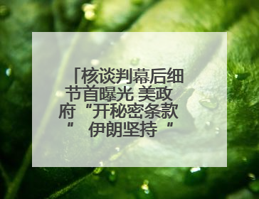 核谈判幕后细节首曝光 美政府“开秘密条款” 伊朗坚持“三大底线”